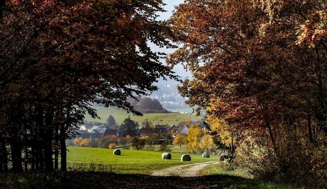 Ferienwohnung Alpaka Blick Schneppenbach Екстер'єр фото