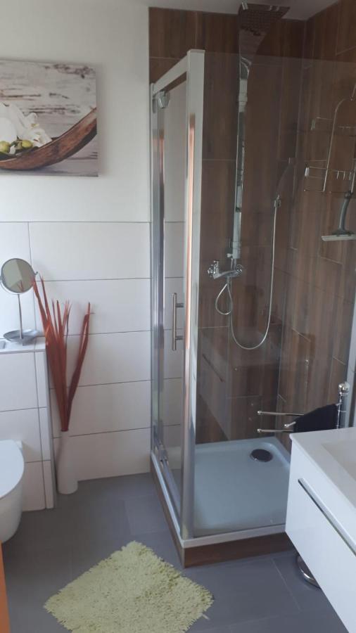 Ferienwohnung Alpaka Blick Schneppenbach Екстер'єр фото